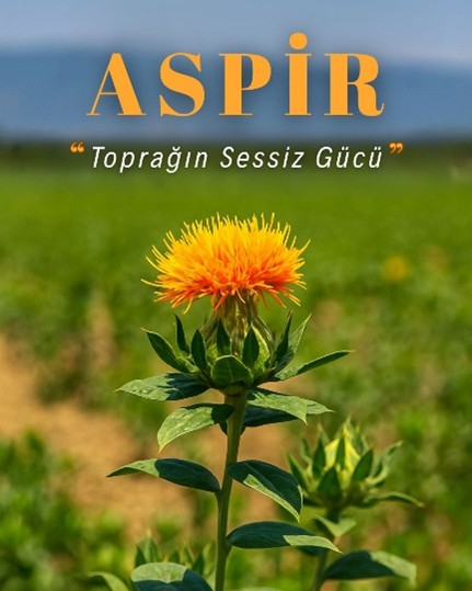Az Suyla Çok Şey Mümkün: ASPİR ile Alternatif Tarım