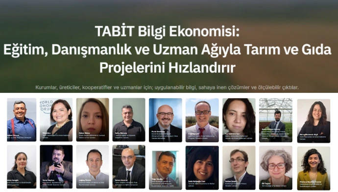 Tabit Danışmanlık Platformu